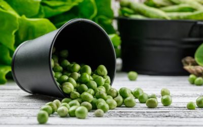 Nourishing from Nature: The Natural Bounty of Pea Protein in Vegan Protein Chips